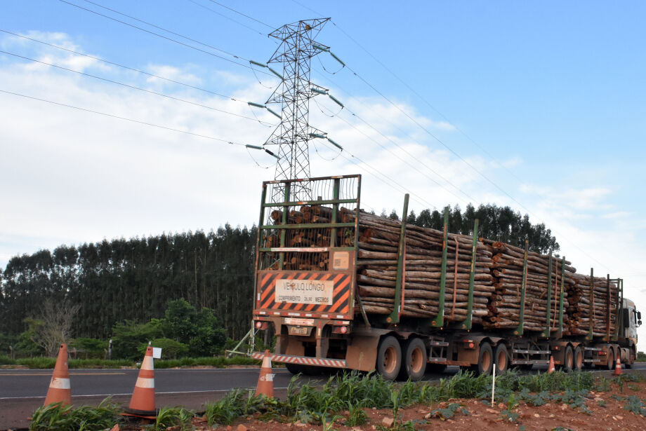 MS deve produzir quase metade da celulose do Brasil nos próximos 10 anos 