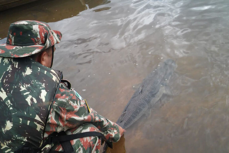 Piracema começa nesta quarta-feira em rios de Mato Grosso do Sul  