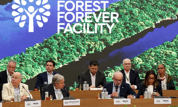 Fundo para florestas tropicais atinge aporte de US$ 5,5 bilhões