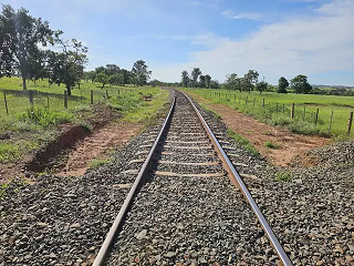 Fábrica de celulose recebe licença para implantar ramal ferroviário em MS