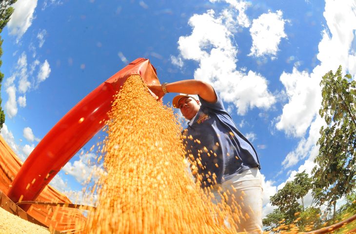 Valor Bruto da Produção Agropecuária de Mato Grosso do Sul cresce 23,6% e atinge R$ 76,3 bilhões