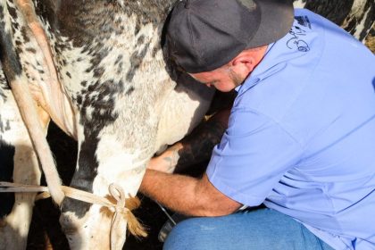 Arapuá se prepara para o 2º Torneio Leiteiro com programação técnica e atividades para toda a comunidade