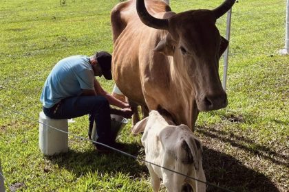 2º Torneio Leiteiro do Arapuá supera expectativas e consolida tradição