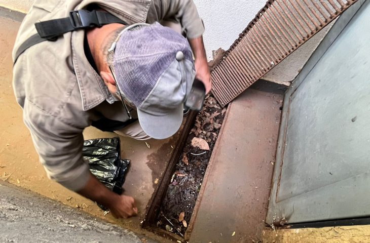 Boletim Epidemiológico: MS registra 8.384 casos confirmados de dengue