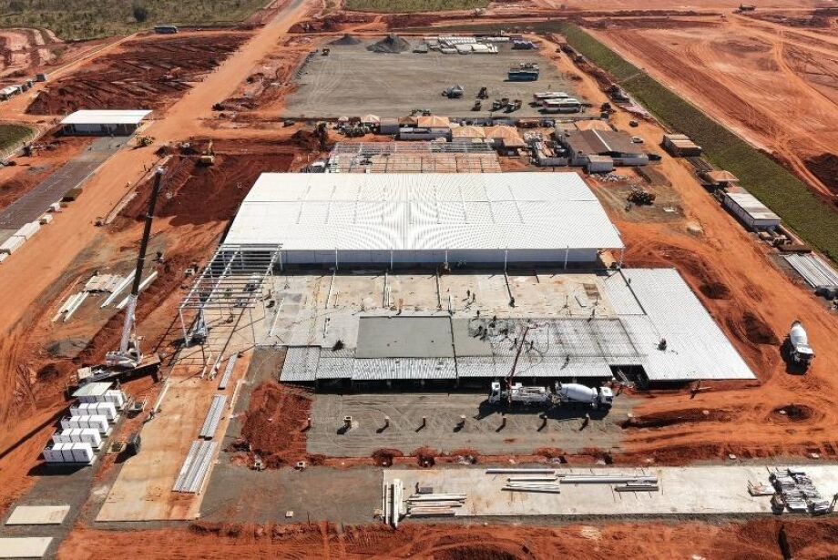 Gigante da celulose investe R$ 770 milhões na compra de vagões  