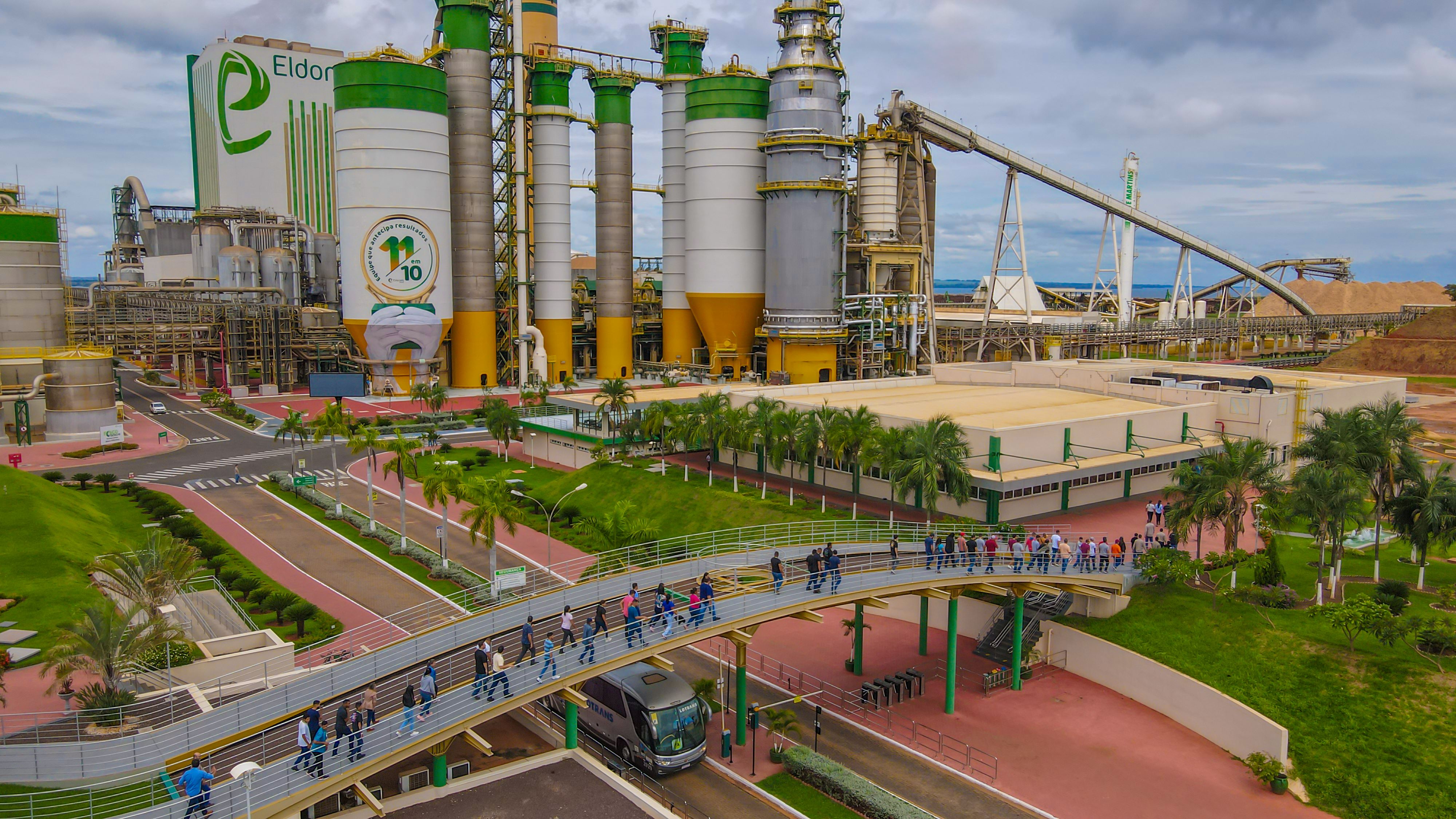 Setor de Papel e Celulose impulsiona geração de empregos formais em Mato Grosso do Sul