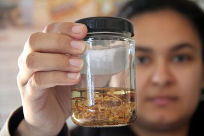 Descarte incorreto de alimentos contribui para aumento de escorpiões nas residências