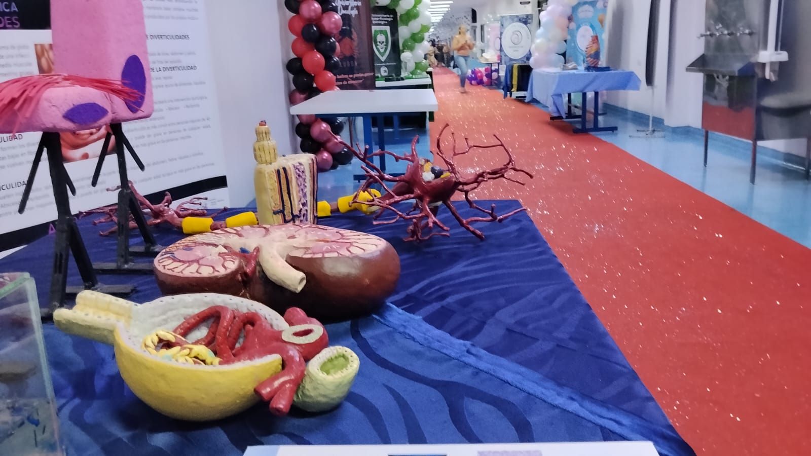 “Cerimônia do Jaleco 26.1” recepcionará  novos acadêmicos na UCP de Pedro Juan