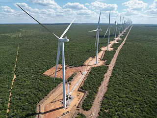 Gigante do setor químico investirá em usinas de energia solar em MS