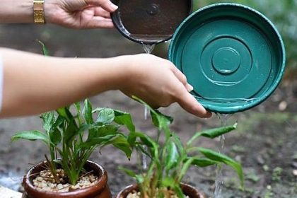 Prefeitura de TL intensifica ações de combate à dengue, chikungunya e zika devido ao período de chuva