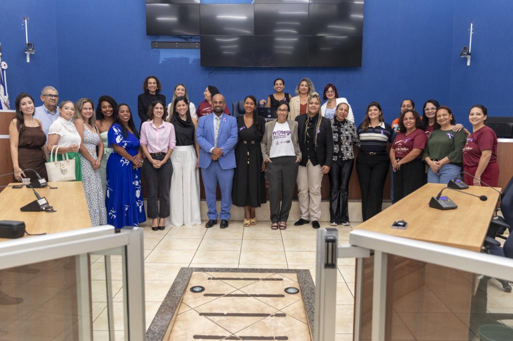 Audiência pública resulta em projeto de lei para combate à violência contra a mulher