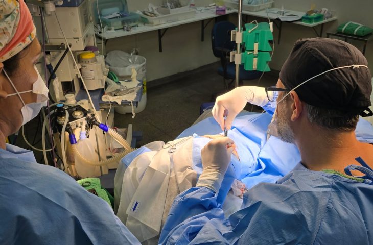 HRMS realiza cerca de 300 procedimentos durante Mutirão da Mulher e amplia acesso à saúde