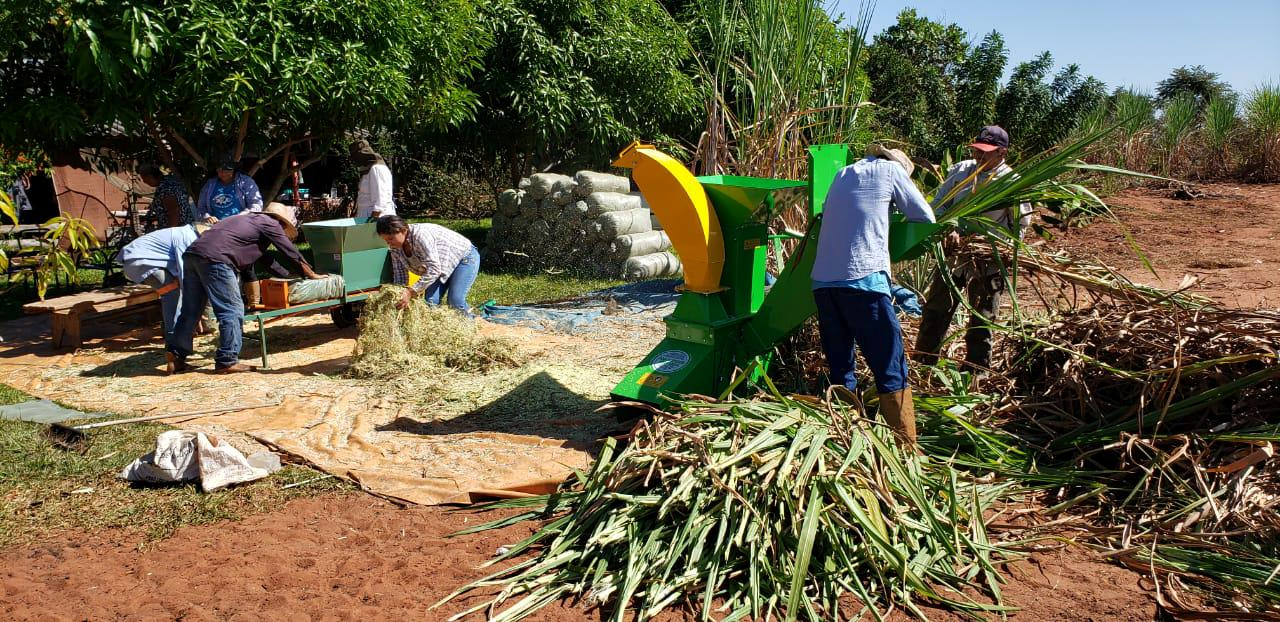 Suzano contribui para retirar mais de 140 mil pessoas da linha da pobreza em cinco anos em suas regiões de atuação