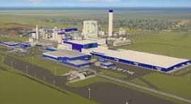 Suzano abre três processos seletivos para vagas operacionais em Ribas do Rio Pardo (MS)