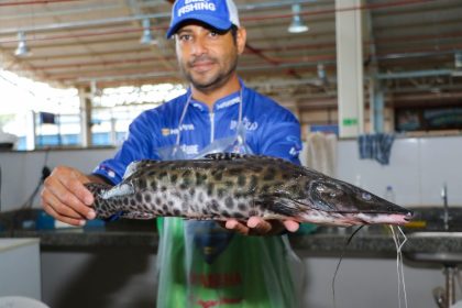 NESTA SEMANA – Tradicional Feira do Peixe será realizada nesta quarta (1) e quinta (2) na Feira Central de Três Lagoas