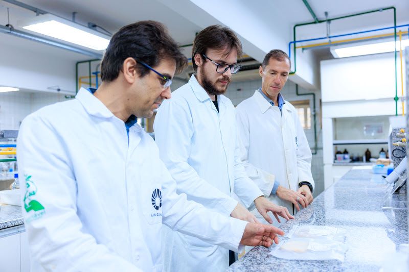 Tecnologia da Unicamp usa fungos da Amazônia para produzir farinha vegetal com aroma de carne