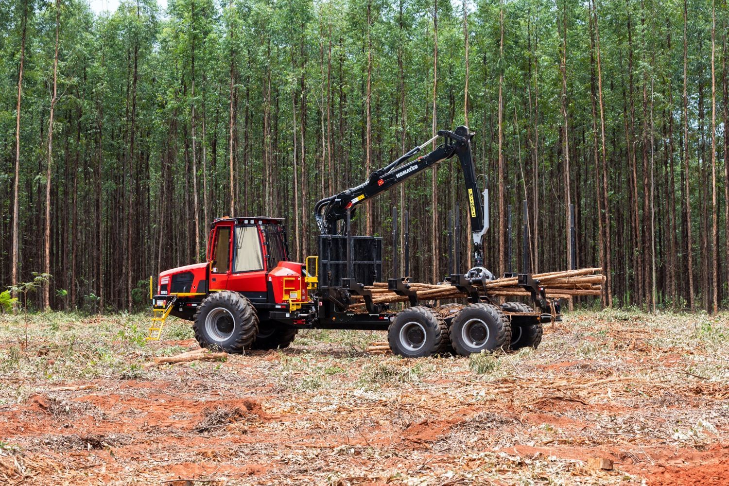 Suzano realiza seleção com contratação imediata para vagas no setor florestal em Água Clara (MS)