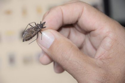DIA MUNDIAL DE CONSCIENTIZAÇÃO – Prefeitura de Três Lagoas alerta para prevenção da Doença de Chagas