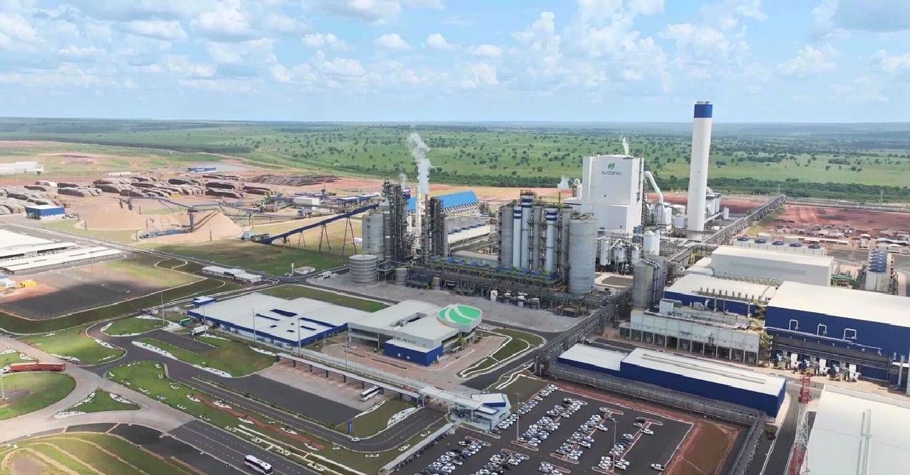 Suzano abre vagas em Brasilândia, Ribas do Rio Pardo e Três Lagoas (MS) para áreas florestal e de manutenção